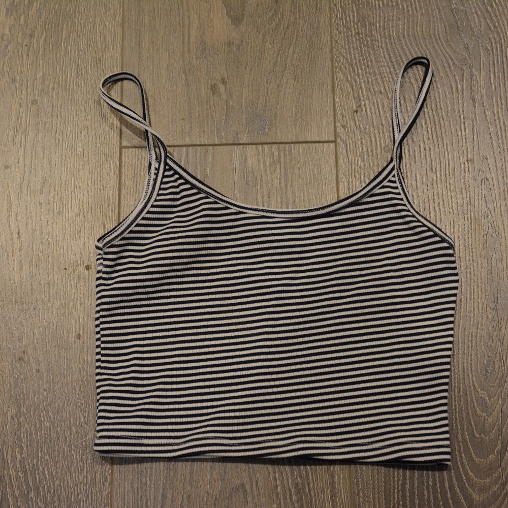 Brandy Melville Crop Top